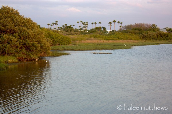 FL waters