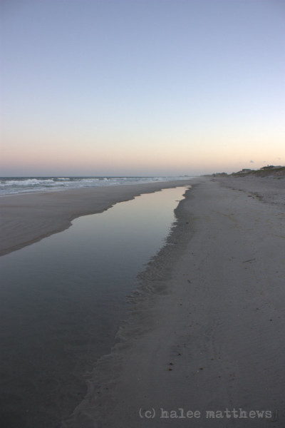 F8 Island beach tidepool